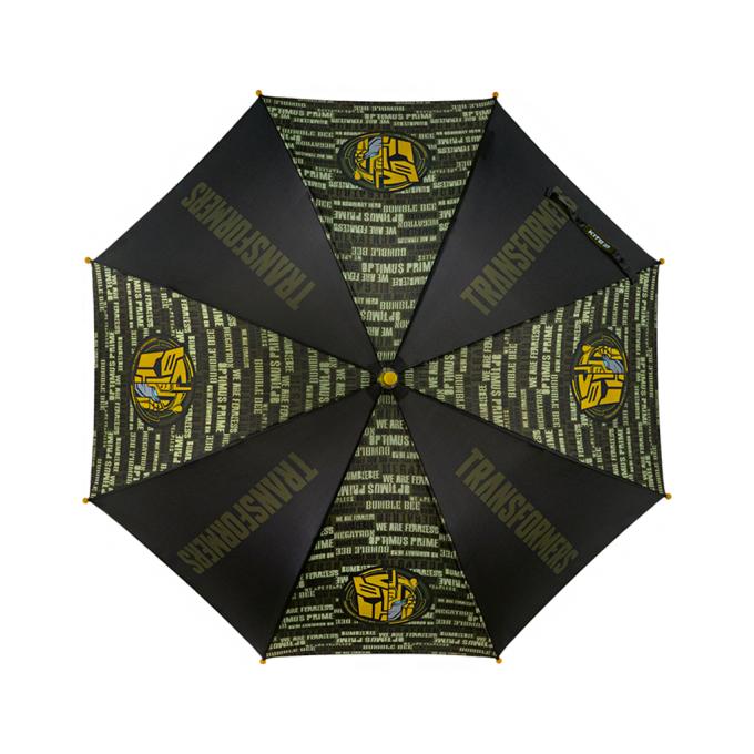 Kite TF24-2001