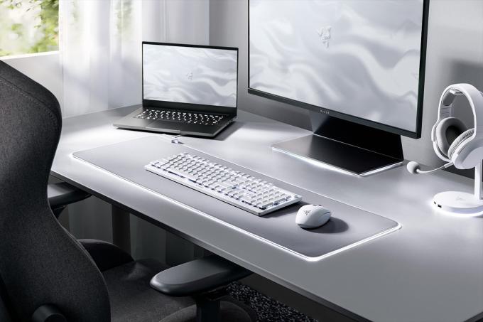 Razer RZ03-04363500-R3M1