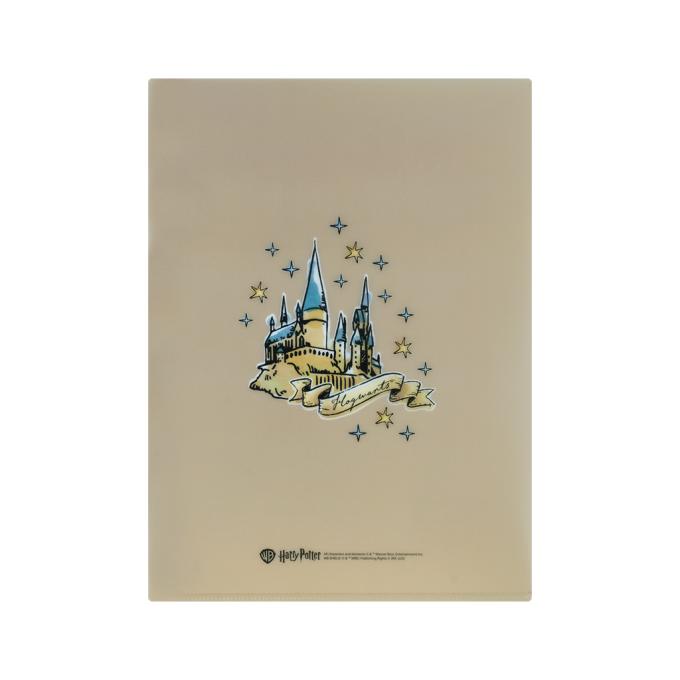 Kite HP25-248-1