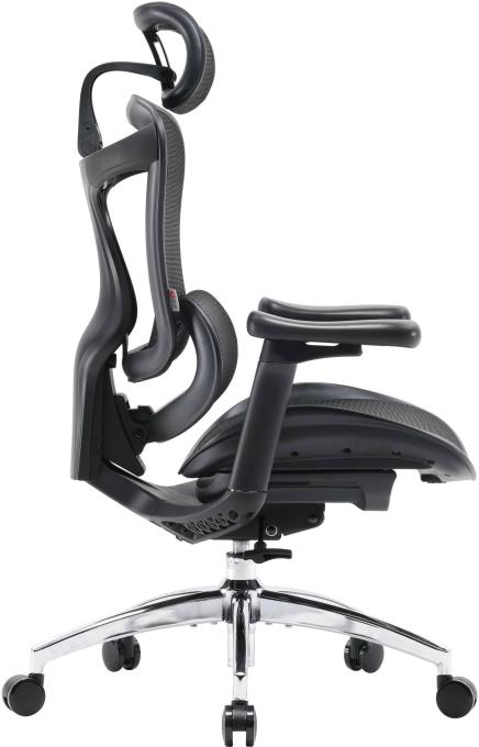 Sihoo DORO-C300L-A3-101