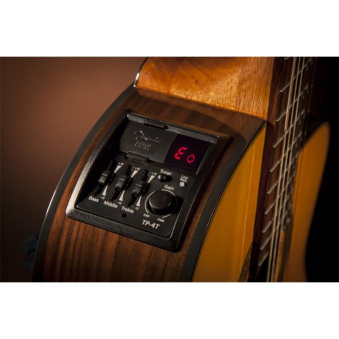 Takamine 221976