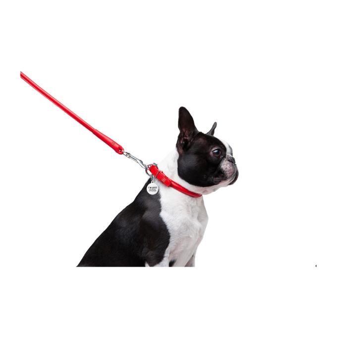 WAUDOG 33773