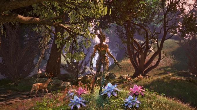 GamesSoftware 1181853