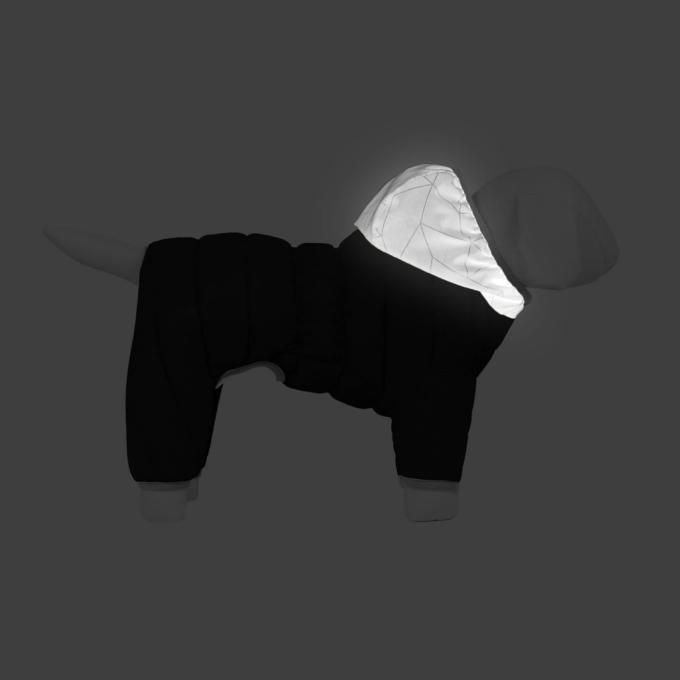 Collar 24211