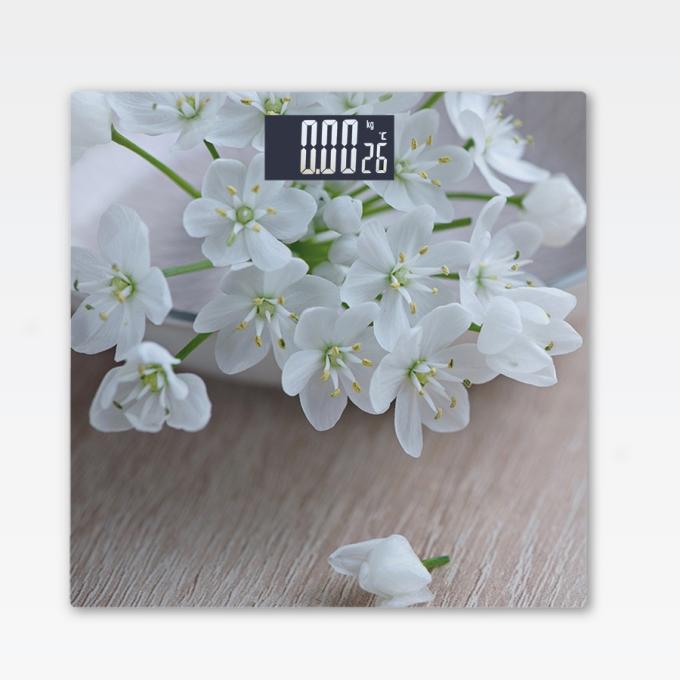 Maestro MR-1819