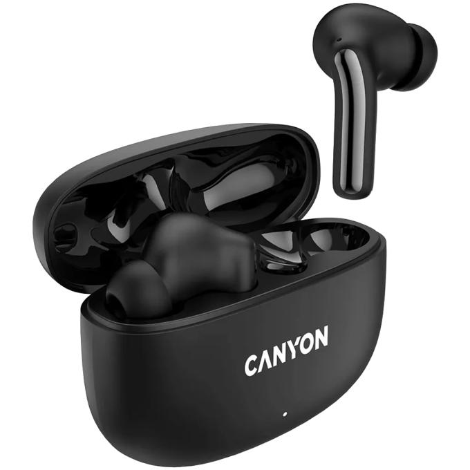 Canyon CNS-TWS9B