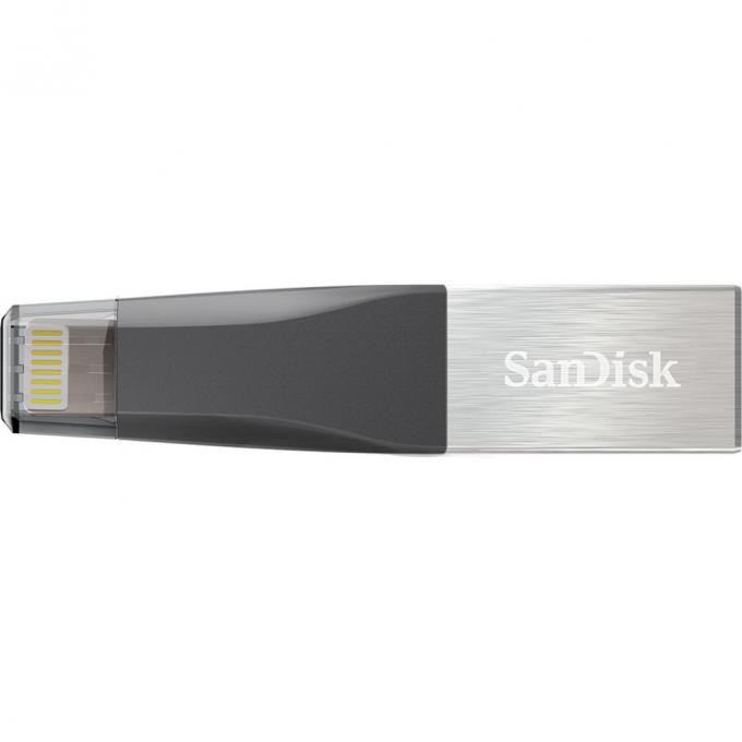 SANDISK SDIX40N-032G-GN6NN