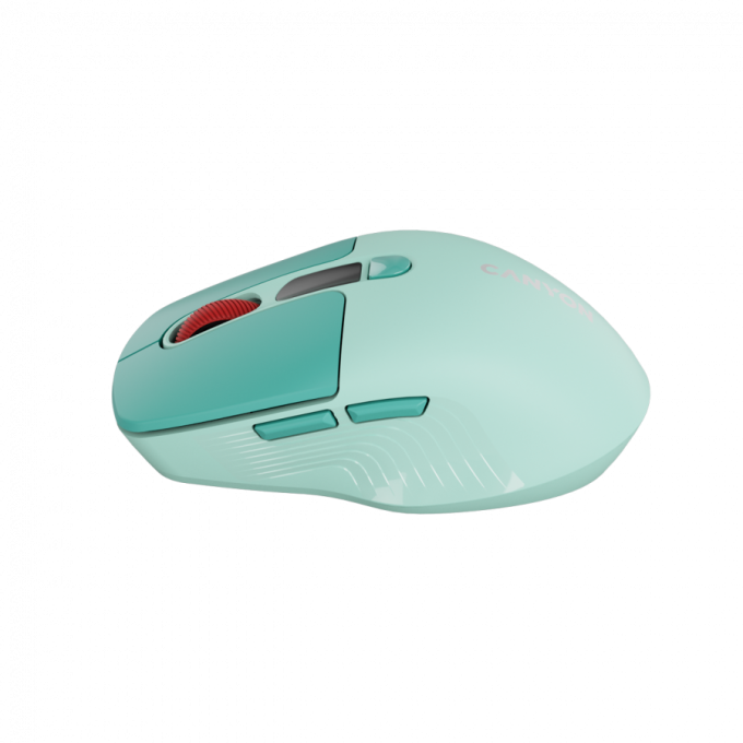 Canyon CNS-CMSW26GR