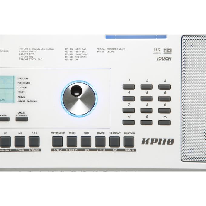 Kurzweil 286763