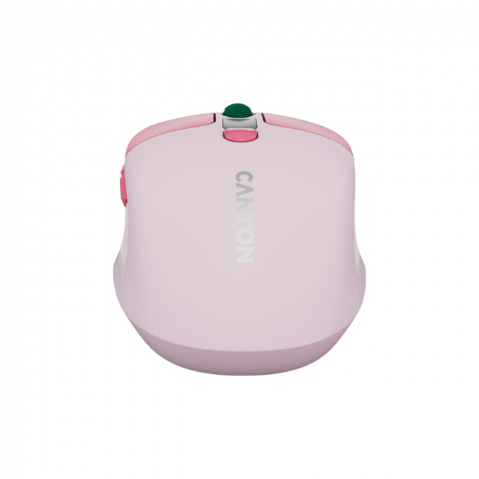 Canyon CNS-CMSW26P