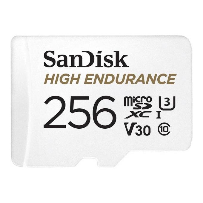 SANDISK SDSQQNR-256G-GN6IA
