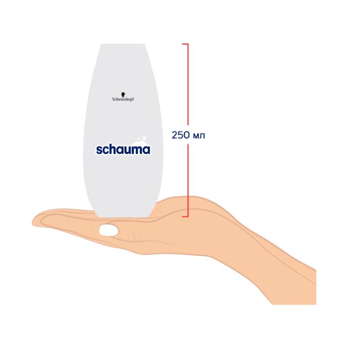 Schauma 4012800567658