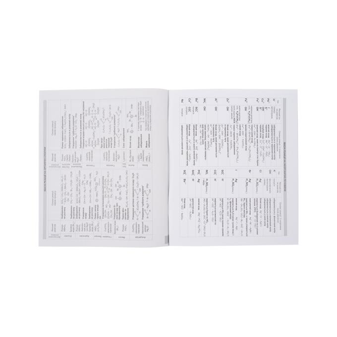 Kite K23-240-22