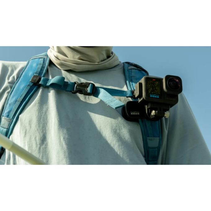 GoPro AEMAG-001