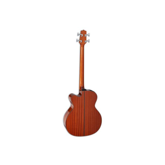 Takamine 234764