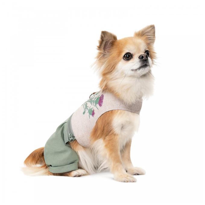 Pet Fashion 4823082434404
