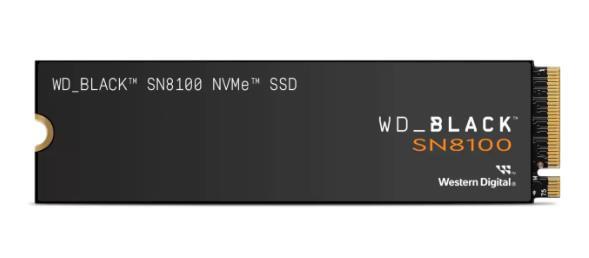 WD WDS100T1X0M