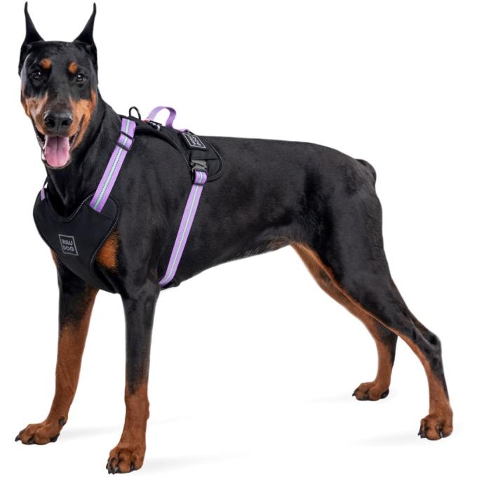 WAUDOG 52509