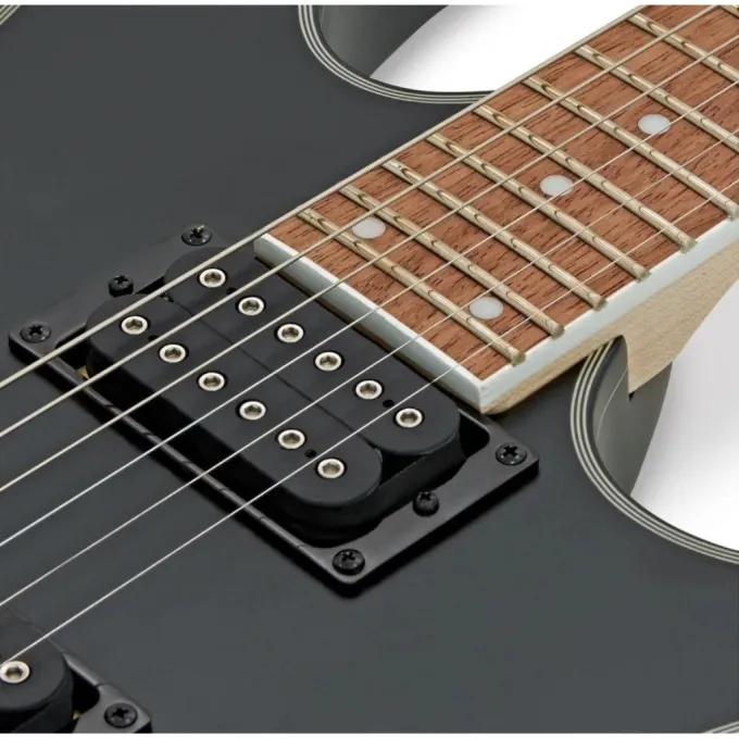 Ibanez 220670