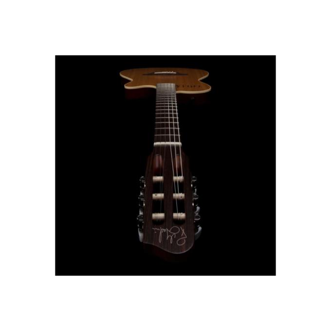 Godin 235917
