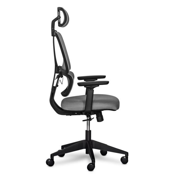 Mealux Y-543 KBG