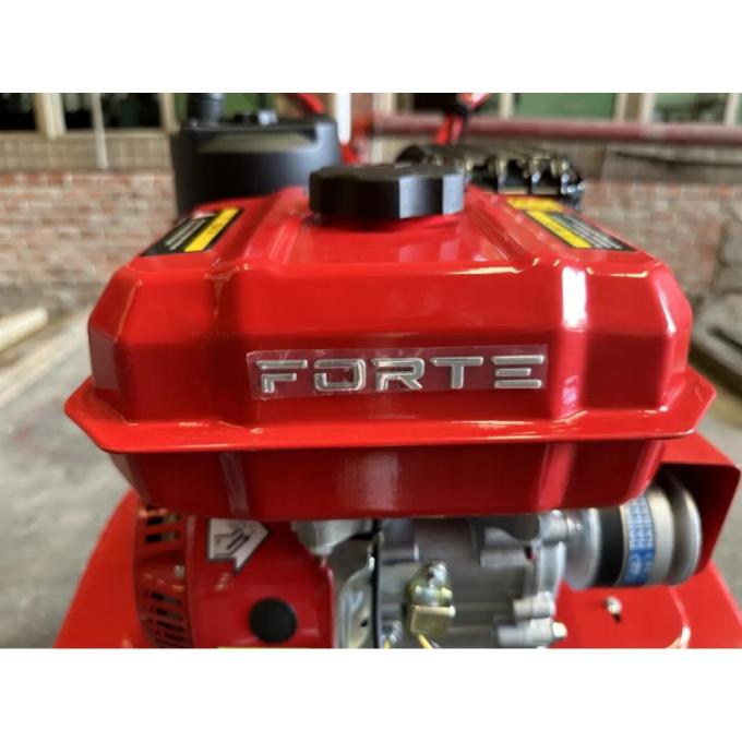 FORTE 142228