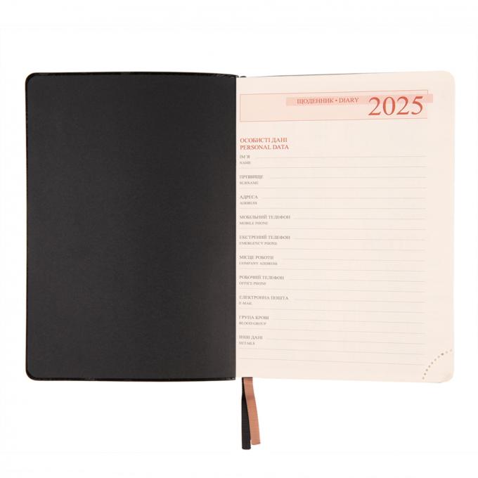 Leo planner 252580