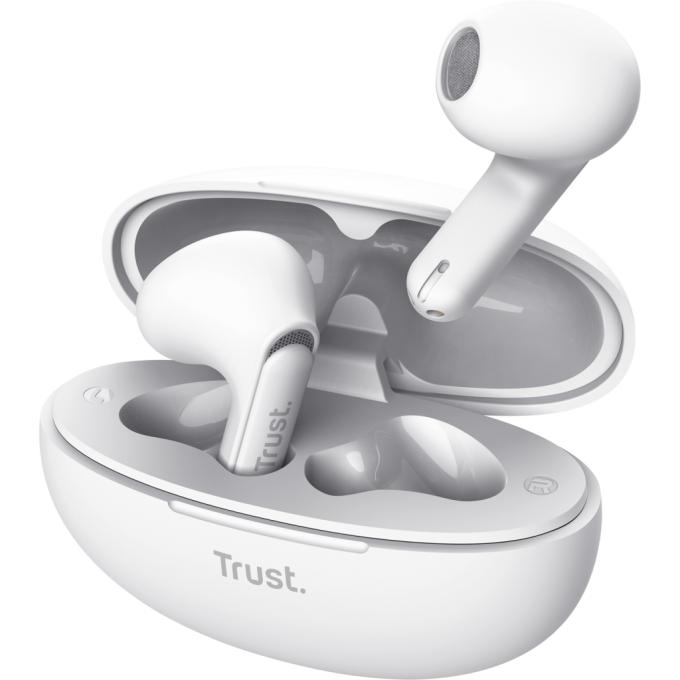 Trust 25173