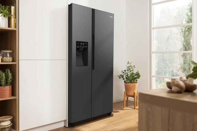 Gorenje NRR9185ESBXL