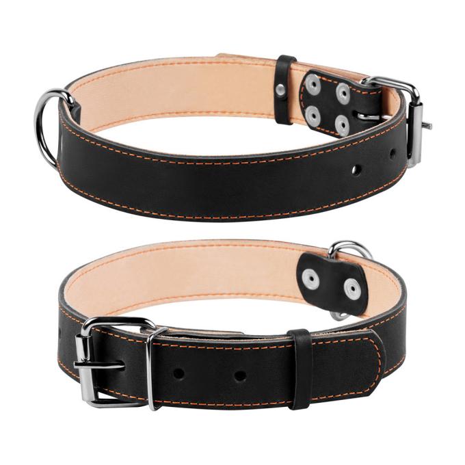 Collar 02791
