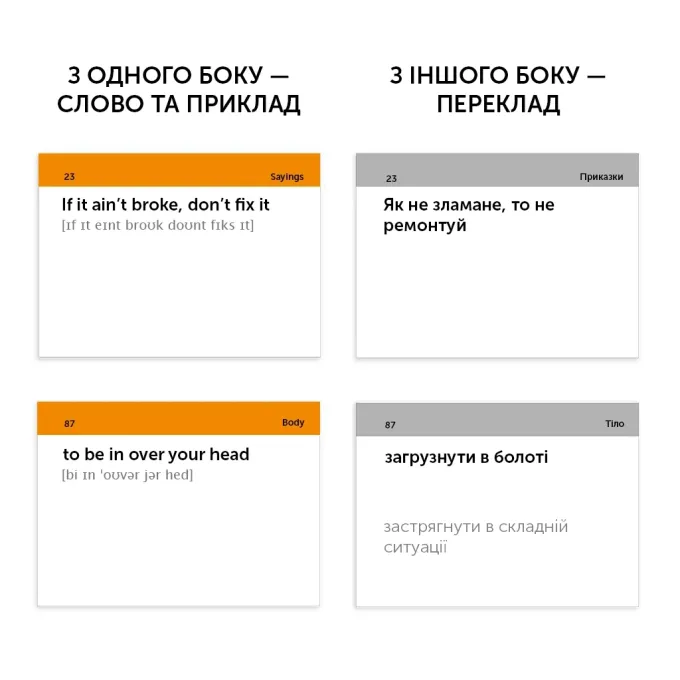 English Student 591225992