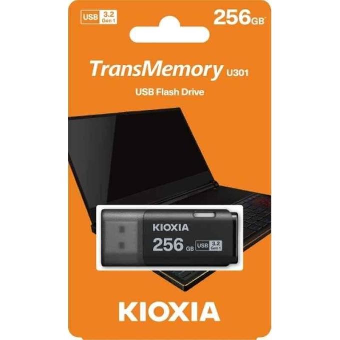 Kioxia LU301K256GG4