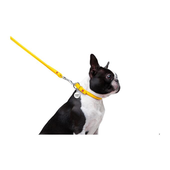 WAUDOG 33778