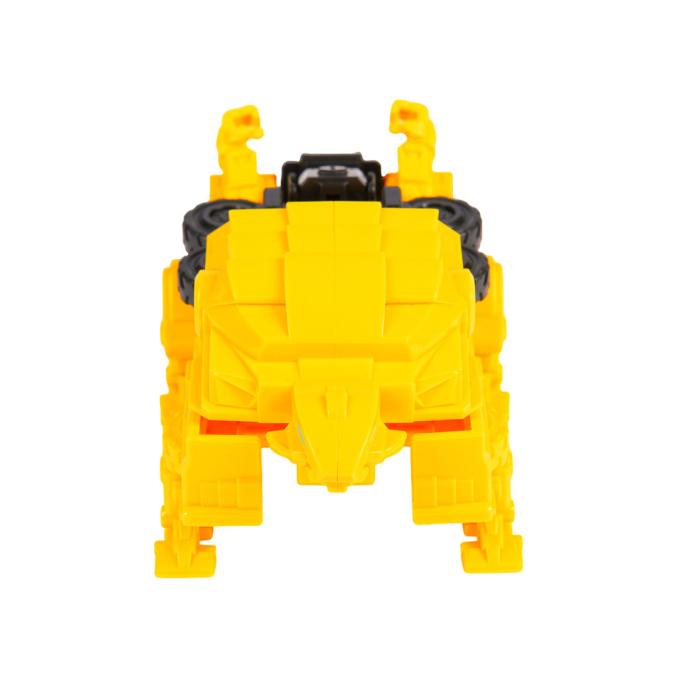 Dinoster EU580852