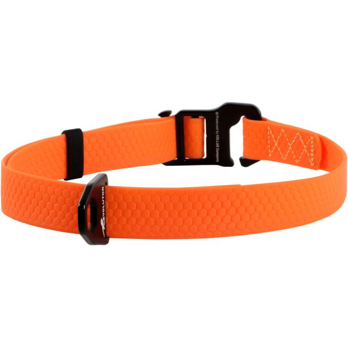 Collar 42434