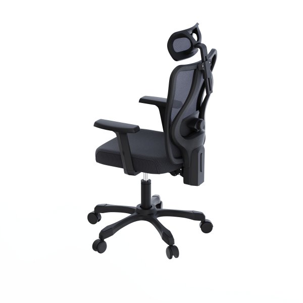 Maxxter OC-ONYX