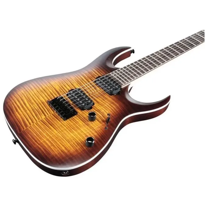 Ibanez 226622