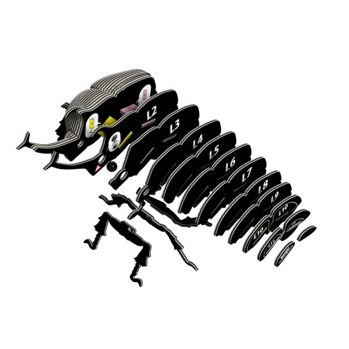 Eugy XEG-113