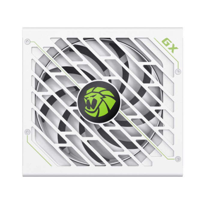 GAMEMAX GX-1250 PRO WT(ATX3.1PCIe5.1)