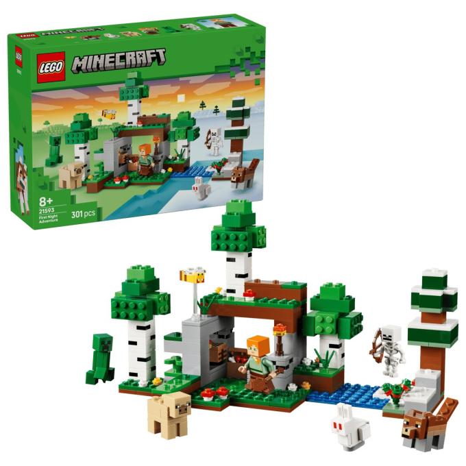 LEGO 21593