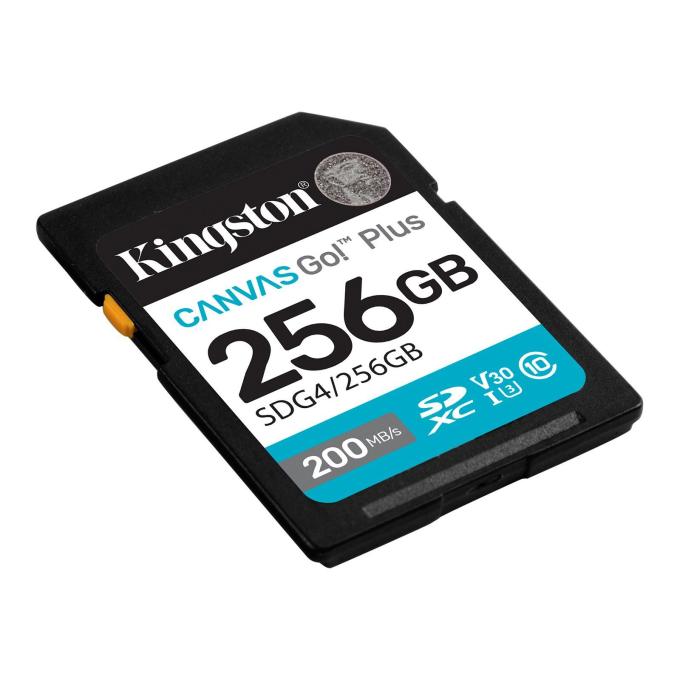 Kingston SDG4/256GB
