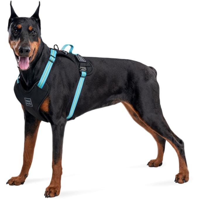 WAUDOG 52492