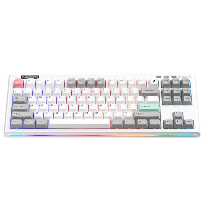 1STPLAYER NEO87-FW-TLD
