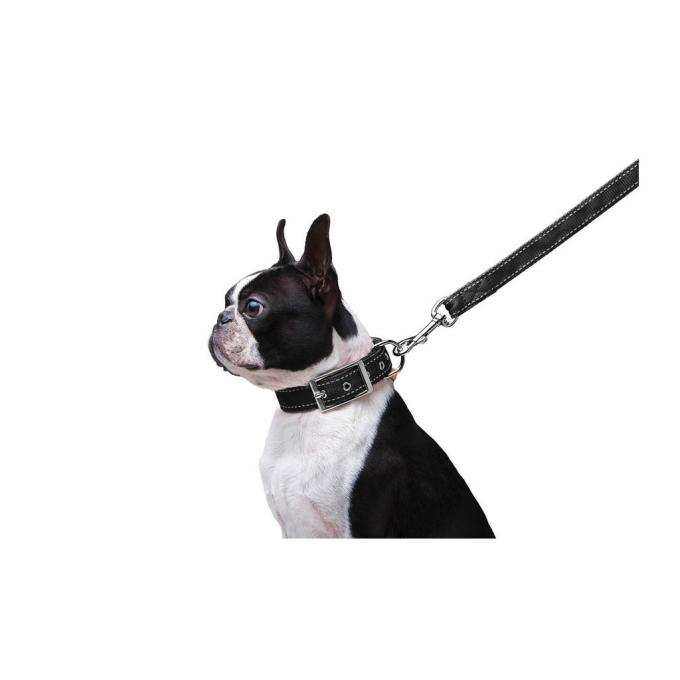 Dog Extreme 42981