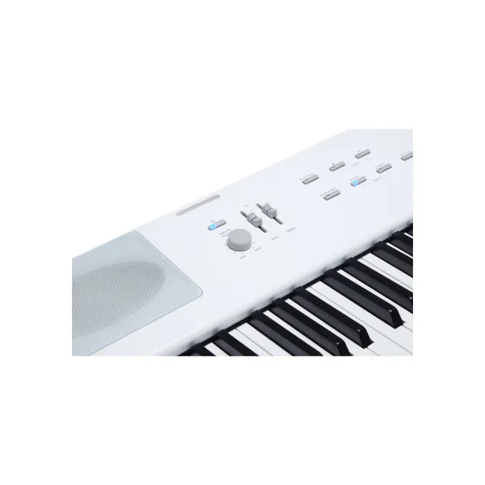 Kurzweil 530040