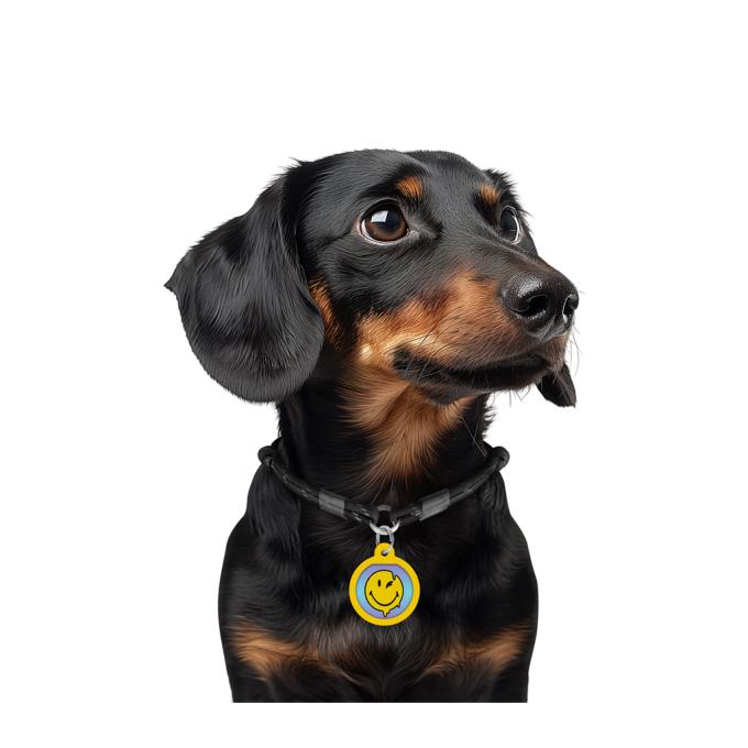 WAUDOG 225-0182