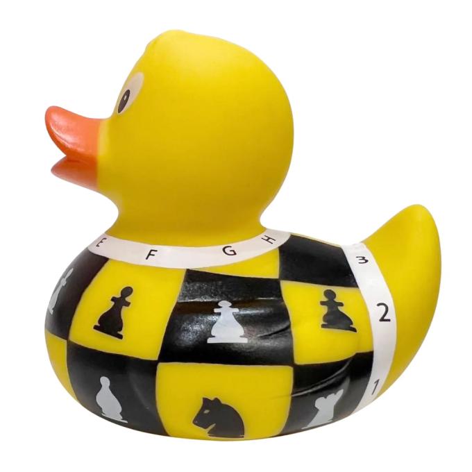 Funny Ducks 1319