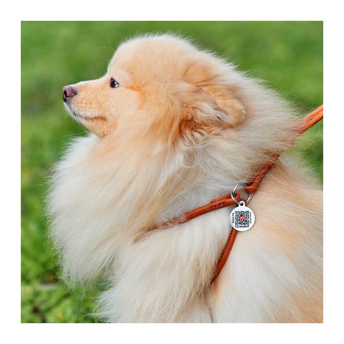 WAUDOG 46206
