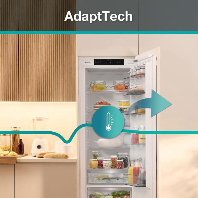 Gorenje RI517E62WF
