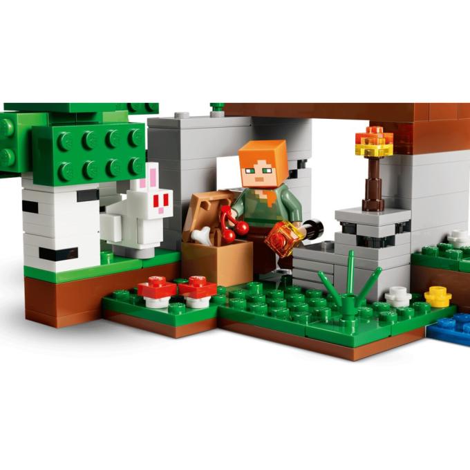 LEGO 21593
